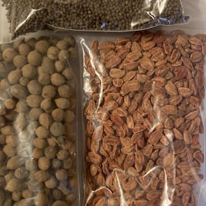 2 Random Types of Seeds (Tree, Shrub, Vine)