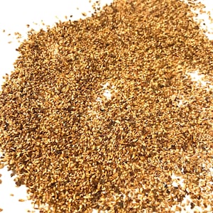 Peepul Tree Seeds (FICUS RELIGIOSA) (Sacred Fig)