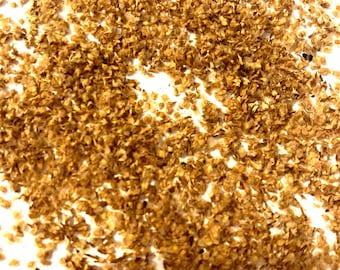 Shinybark Birch Tree Seeds  (BETULA LUMINIFERA)