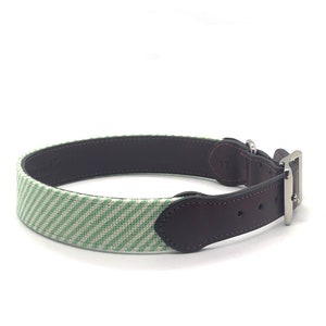 Needlepoint Green Seersucker Dog Collar