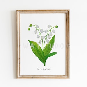 Lily of the valley flower watercolor prints, Wild flower watercolor wall art, Lily of the valley watercolor prints, Kitchen wall art