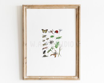 Bugs watercolor prints, Bugs watercolor wall art, Bugs prints,Bugs wall art, Bugs clipart , Kitchen art, Nursery prints, Home decor