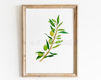 Olive watercolor prints, Olive watercolor wall art , Olive prints, Olive wall art, Kitchen art, Kitchen decor, Home decor, Wall decor