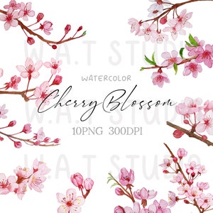 Cherry Blossom watercolor Clipart, Cherry Blossom Watercolor  Prints, Spring flower watercolor Wall art, Handmade watercolor wall art