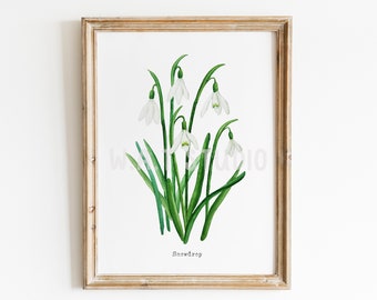 Snowdrop flower watercolor prints, Wild flower watercolor wall art, Snowdrop watercolor prints, Snowdrop wall decor, Kitchen wall art