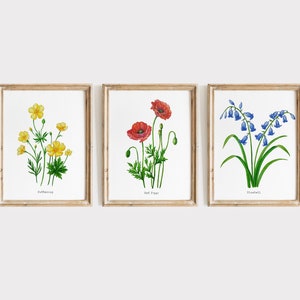 Buttercup, RedPoppy, Bluebell Wild Flower Set of 3 watercolor prints, Wild flower watercolor wall decor, Wild flower prints, Kitchen art