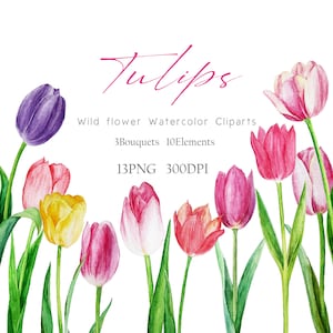 Tulip Watercolor Clipart, Tulip flower Watercolor  Prints,  Tulip flower watercolor Wall art, Handmade watercolor wall art, Clipart