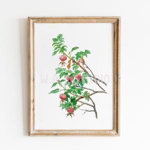Wild flower watercolor prints, Wild flower watercolor wall art, Wild flower prints, Wild flower wall art, Home decor, Kitchen art,  Nursery