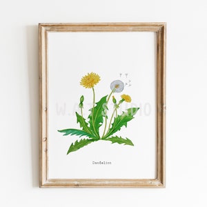 Dandelin flower watercolor prints, Wild flower watercolor wall art, Dandelin watercolor prints, Kitchen wall art, Nursery poster