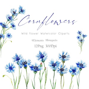 CornFlower Watercolor Clipart, CornWatercolor  Watercolor Prints,  Wild flower watercolor Clipart,  CornFlower wild flower wall art