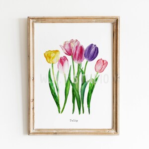 Tulip Flower watercolor prints, Tulip watercolor wall art, Tulip handmade watercolor prints, Wild flower wall art, Home decor, Kitchen art