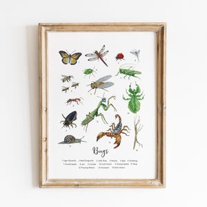 Bugs Poster watercolor prints, Bugs watercolor wall art, Bugs prints,Bugs wall art, Bugs clipart , Kitchen art, Nursery prints, Home decor