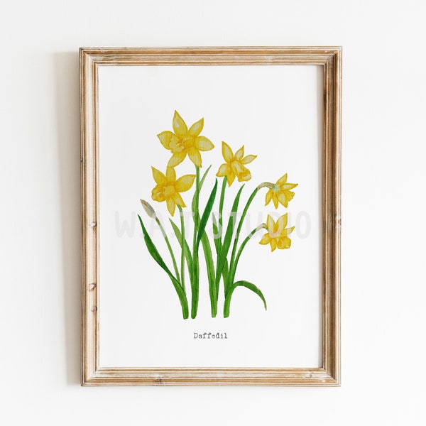 Daffodil flower watercolor prints, Wild flower watercolor wall art, Daffodil watercolor prints, Kitchen wall art, Nursery poster