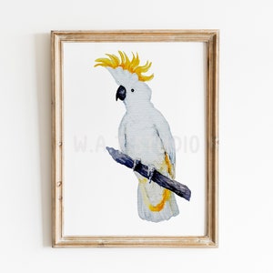 Parrot watercolor prints, Parrot image wall art , Parrot print, Parrot wall art, Bird wall decor, Home decor