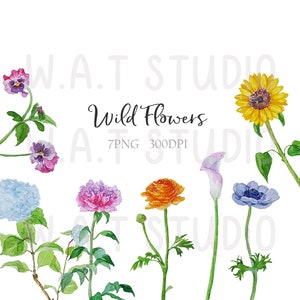Wild Flower watercolor Clipart, Wild flower Watercolor  Prints, Wild flower watercolor Wall art, Handmade watercolor wall art, Clipart