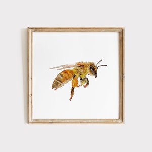 Bee watercolor prints, Bee watercolor wall art, Honey Bee prints, Honey Bee wall art, Kitchen art, Nursery poster, Home decor