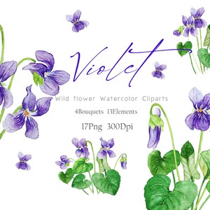 Violet Flower Watercolor Clipart, Violet Watercolor  Prints,  Wild flower watercolor Clipart, Violet wild flower wall art