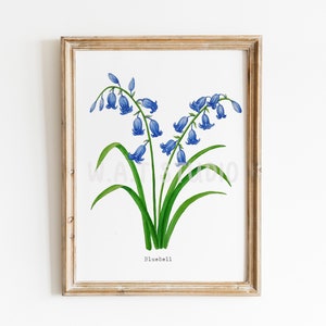 Bluebell flower watercolor prints, Wild flower watercolor wall art, Bluebell watercolor prints, Kitchen wall art, Nursery poster