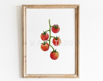 May include: A watercolor painting of a cluster of red tomatoes on a vine. The tomatoes are arranged in a vertical line, with the largest tomato at the top and the smallest tomato at the bottom.