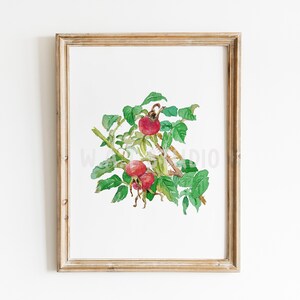 Wild flower watercolor prints, Wild flower watercolor wall art, Wild flower prints, Wild flower wall art, Home decor, Kitchen art,  Nursery