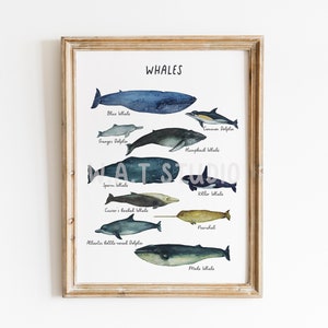 Whales prints, Whales wall art, Whales watercolor prints, Whales watercolor wall art, whales clipart, Kitchen art, Home decor, Wall decor