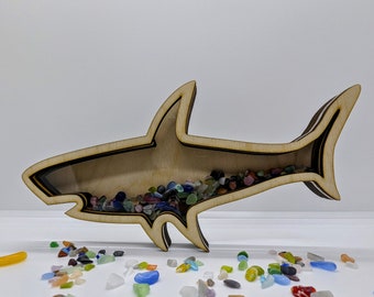 Shark Shadow Box for Rocks Teeth Agates Sand Beach Glass Treasures FL HI CA Vacation Decor Shark Tooth Trip