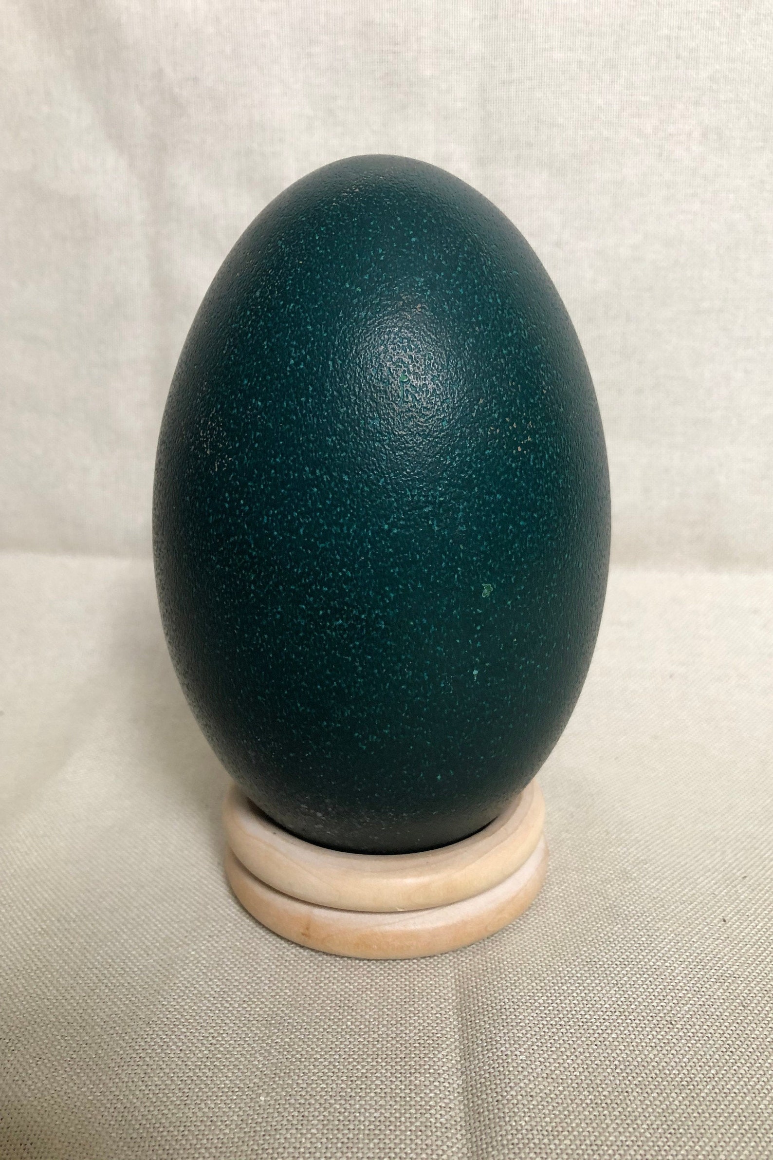 Carved Emu Egg engraved emu design eggshell Etsy