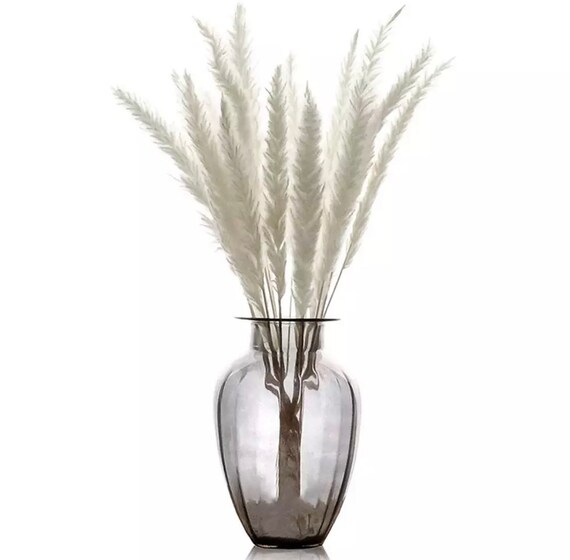Dried Pampas Grass Etsy