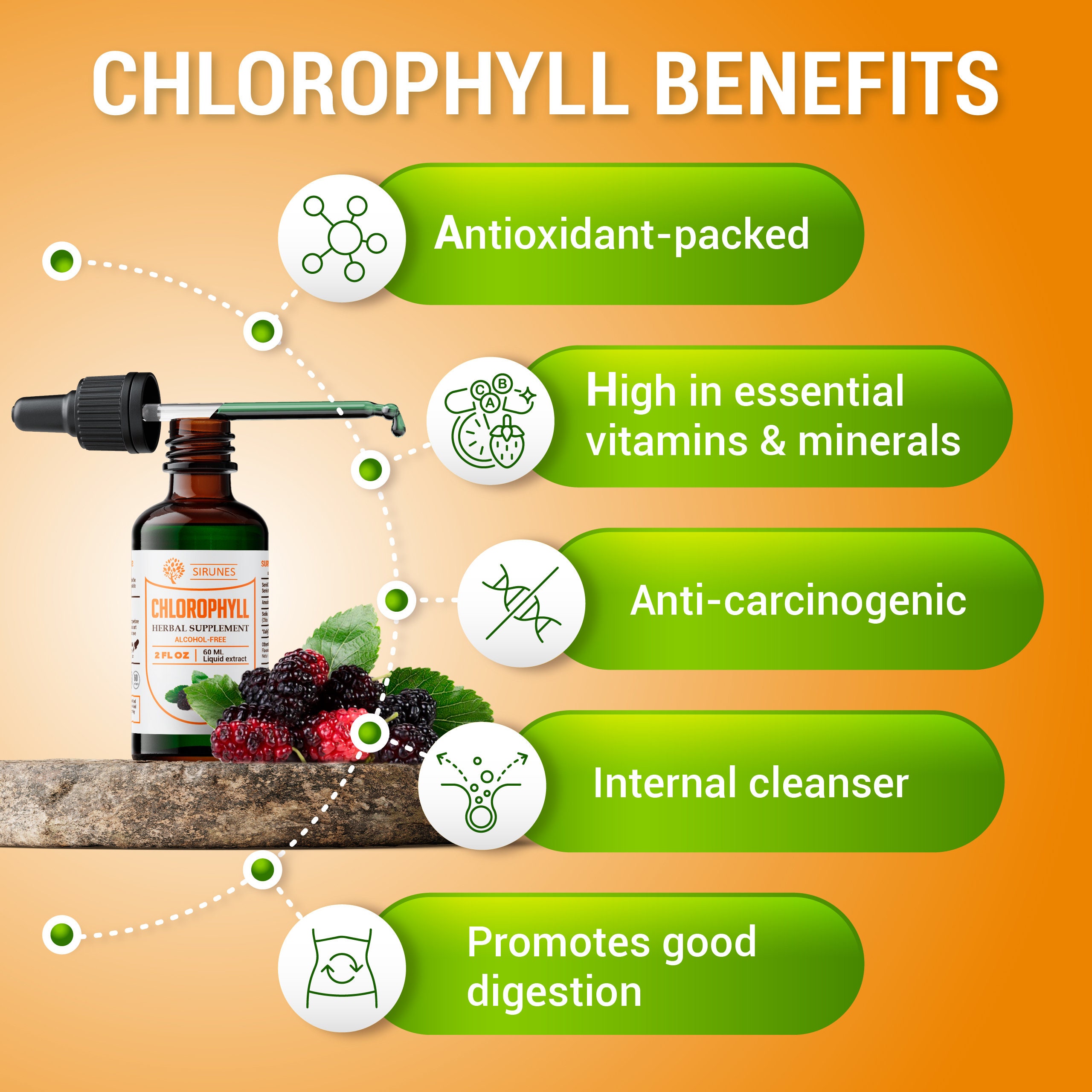 Liquid Chlorophyll Drops Copper Chlorophyllin Extract Etsy