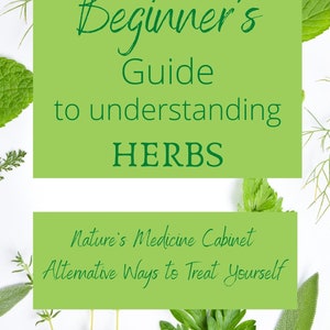 Beginner’s Guide to Understand Herbs: Natures Medicine Cabinet- Alternative Ways to Treat Yourself