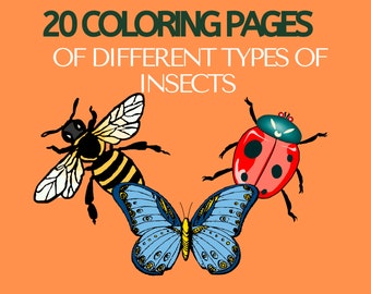 Insect Coloring Pages Colouring Book for Kids Educational and Entertaining
