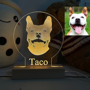 Personalisierte Pet Foto 3D Lampe, Pet Portrait Custom, benutzerdefinierte Hund Foto Schreibtisch Lampe, Katze Bild Lampe, Nachttisch Lampe, Pet Portrait Foto lampe