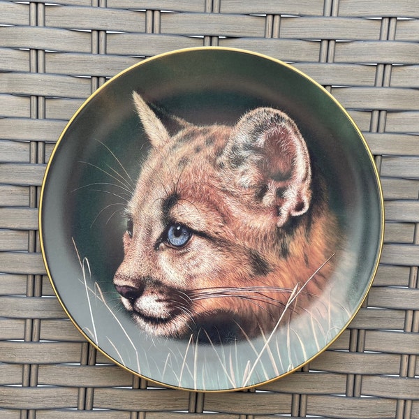 Cougar Cub | Cubs of the Big Cats | Qua | Princeton Gallery