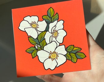 Cherokee Rose Print, White Rose Art, Georgia State Flowers, Mini Art Print, Blossom Home Decor