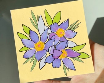 Pasque Print, Flower Illustration, South Dakota State Flower Artwork, Original Botanical Art, Purple