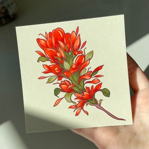 Indian Paintbrush Print, Red Flowers Art, Wyoming State Flower Illustration, Floral Artwork Print, Mini Print, Home Decor