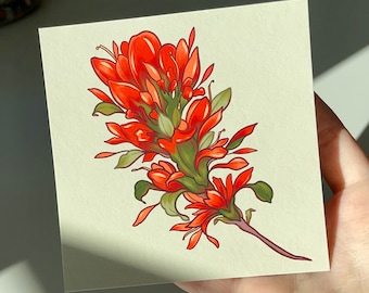 Indian Paintbrush Print, Red Flowers Art, Wyoming State Flower Illustration, Floral Artwork Print, Mini Print, Home Decor
