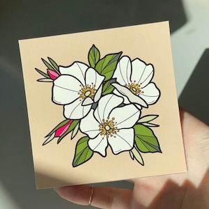 Prairie Rose Print, Wild Rose Flower Art, Iowa State Flower Illustration, North Dakota Floral Artwork, Wall Decor