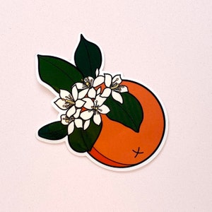 K&ouml;nnte beinhalten: Ein Aufkleber mit einer Orange und wei&szlig;en Bl&uuml;ten. Die Orange ist tief orangefarben und die Bl&uuml;ten sind wei&szlig; mit gelben Zentren. Der Aufkleber befindet sich auf wei&szlig;em Hintergrund.
