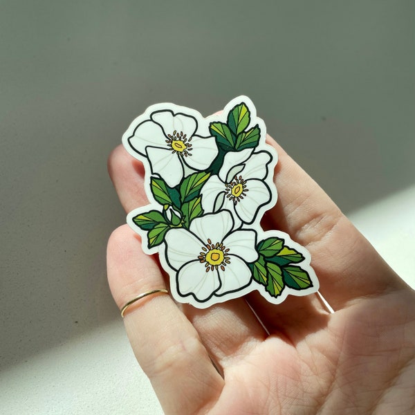 Cherokee Rose Sticker, Waterproof Sticker, Georgia, Laptop, Notebook Accessories