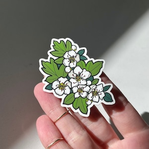 Weißdorn-Aufkleber, botanische Kunst, Wasserflasche-wasserdichter Aufkleber, hochwertiger Laptop-Vinylaufkleber, Missouri-Zustandsblume