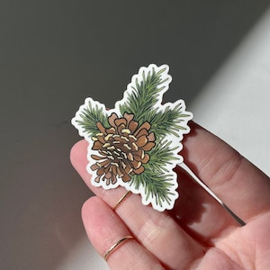 Adesivo Pigna, Arte Forestale, Adesivo Impermeabile per Bottiglia d'Acqua, Adesivo in Vinile di Alta Qualità per Laptop, Fiore dello Stato del Maine, Piccolo