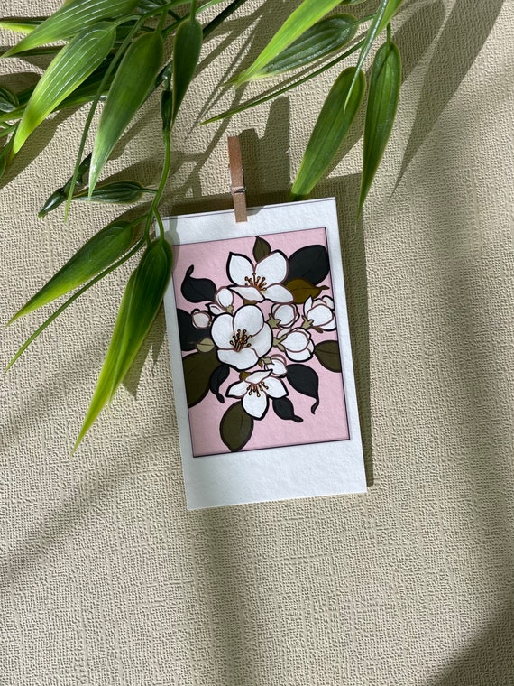 Syringa Small Print, Polaroid Flower Art, White Flowers, Pink, Eco