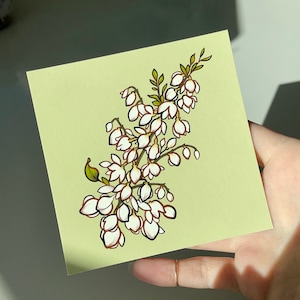 Yucca Print, Yucca Floral Illustration, New Mexico State Flower Artwork, Original Desert Art