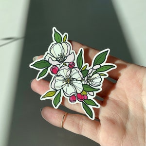 アップル ブロッサム ステッカー、防水光沢ビニール ステッカー、花、ギフト、州の花アート、ブロッサム ボタニカル