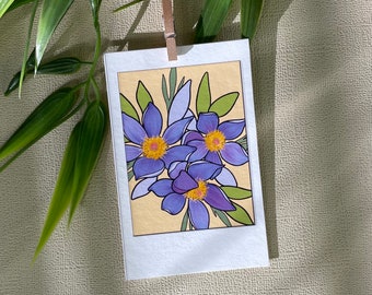 American Pasque Print, Lavender Flowers, Botanical Illustration, Hand Drawn, South Dakota State Flower Artwork, Purple
