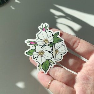Wild Prairie Rose wasserdicht Aufkleber, weiße Blumen, Romantik Blume, Original Kunst, kleines Geschenk, Strumpf Stuffer