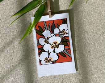 Sego Lily Print, Lily Floral Art, Utah State Flowers, Instax Mini9 Art Print Decor