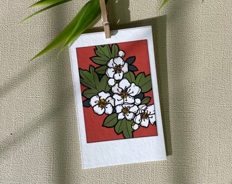 Hawthorn Small Print, Floral Polaroid Art, Missouri Flowers, White, Maroon, Eco Friendly Artwork, Original