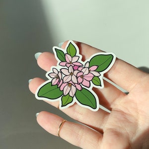 Pegatina de Mayflower, flores de plantas rosas resistentes al agua de alta calidad, para botellas, portátiles, obsequios, regalo, arte de Massachusetts